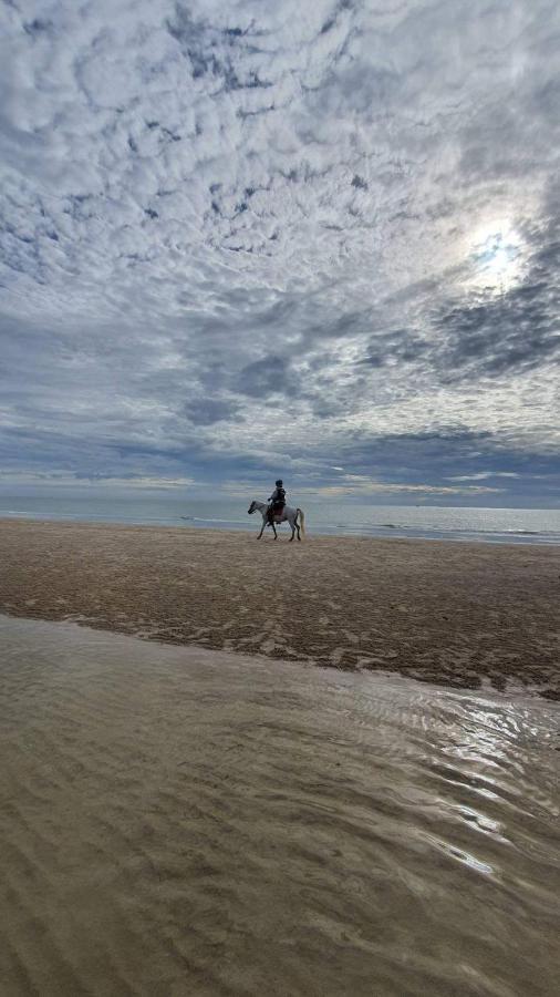 My Resort Huahin By Vas Exteriör bild